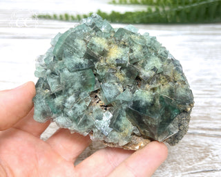 Diana Maria Fluorite #7