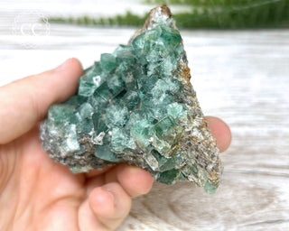 Diana Maria Fluorite #1
