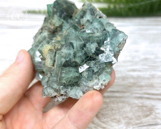 Diana Maria Fluorite #7