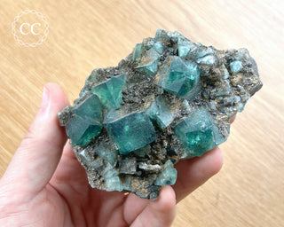 Diana Maria Fluorite #15
