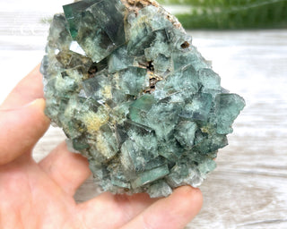 Diana Maria Fluorite #7
