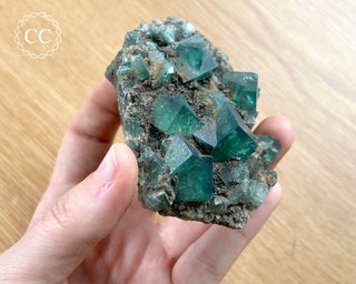 Diana Maria Fluorite #15