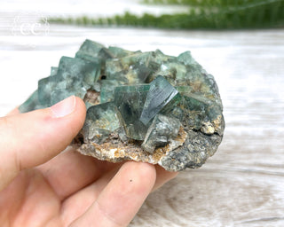 Diana Maria Fluorite #7