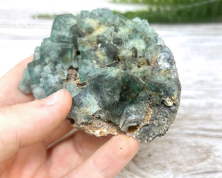 Diana Maria Fluorite #7