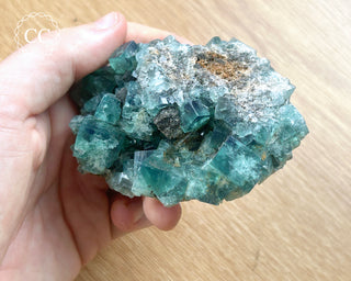 Diana Maria Fluorite #16