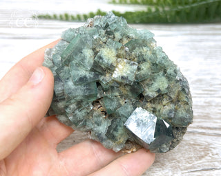 Diana Maria Fluorite #7