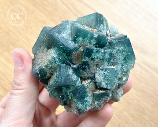 Diana Maria Fluorite #17