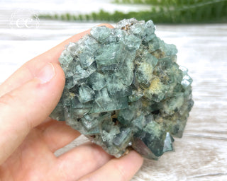 Diana Maria Fluorite #7