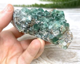 Diana Maria Fluorite #1