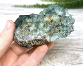 Diana Maria Fluorite #7