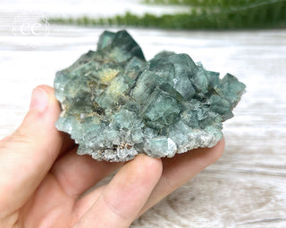 Diana Maria Fluorite #7