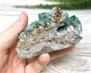 Diana Maria Fluorite #1
