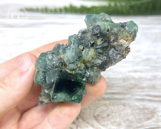 Diana Maria Fluorite #9