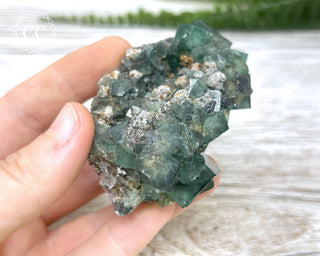 Diana Maria Fluorite #9