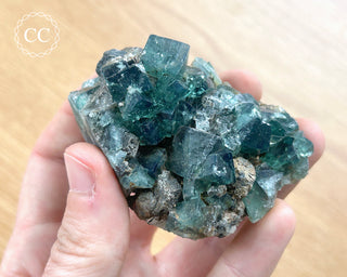 Diana Maria Fluorite #22
