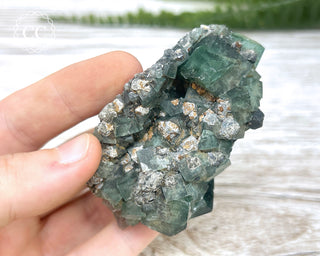 Diana Maria Fluorite #9