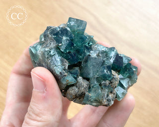 Diana Maria Fluorite #22