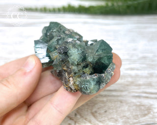 Diana Maria Fluorite #9