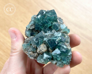 Diana Maria Fluorite #22