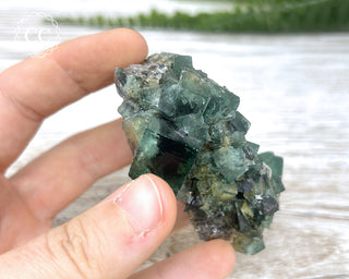 Diana Maria Fluorite #9