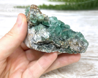 Diana Maria Fluorite #1