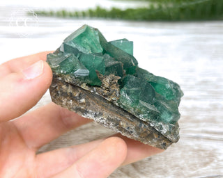 Diana Maria Fluorite #10