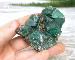 Diana Maria Fluorite #10