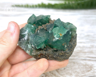 Diana Maria Fluorite #10