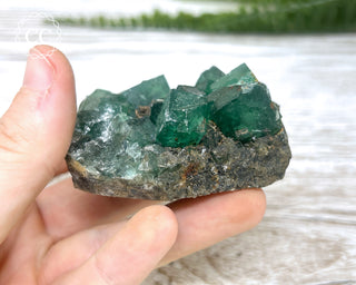 Diana Maria Fluorite #10