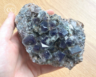 Diana Maria Fluorite #24