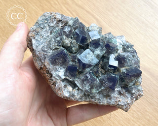 Diana Maria Fluorite #24