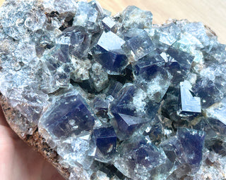 Diana Maria Fluorite #24
