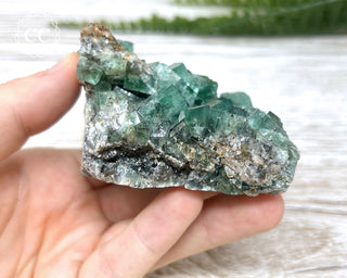 Diana Maria Fluorite #1