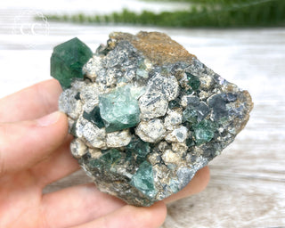 Diana Maria Fluorite #11