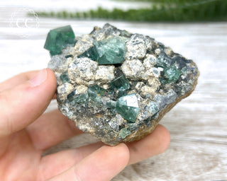 Diana Maria Fluorite #11