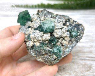 Diana Maria Fluorite #11