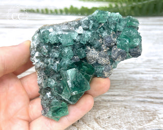 Diana Maria Fluorite #12