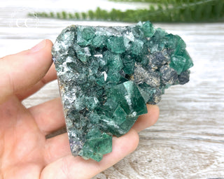 Diana Maria Fluorite #12