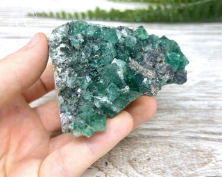 Diana Maria Fluorite #12