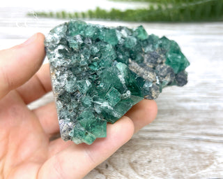 Diana Maria Fluorite #12