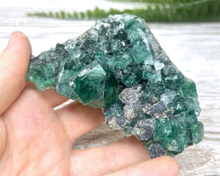 Diana Maria Fluorite #12
