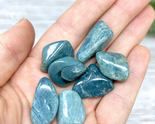 Dianite 'Blue Jade' Tumbled Crystal