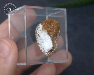 Dickite Specimen #1