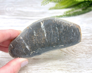 Dinosaur Bone Slice #1