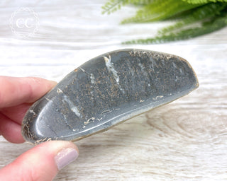 Dinosaur Bone Slice #1