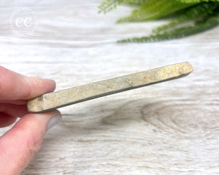 Dinosaur Bone Slice #1