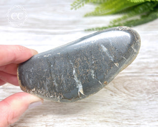 Dinosaur Bone Slice #1
