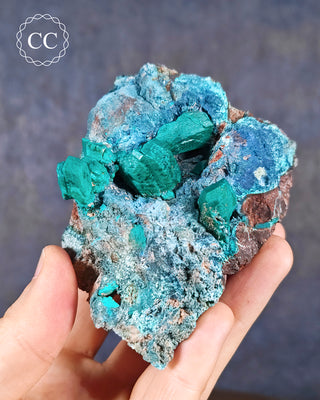 A hand holding a Dioptase specimen from Namibia 