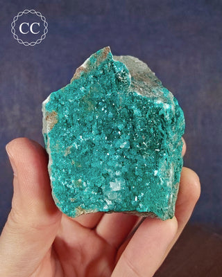 A hand holding a Dioptase specimen from Namibia 