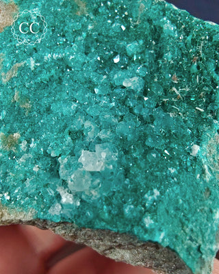 Dioptase Specimen #3